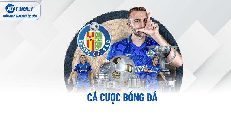Cá cược bóng đá Cá cược bóng đá