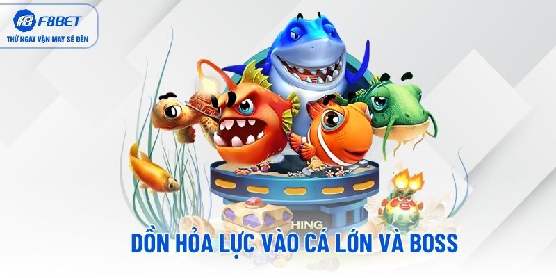 Dồn hỏa lực vào cá lớn và boss