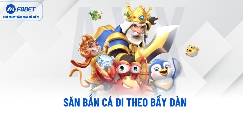 Săn bắn cá đi theo bầy đàn